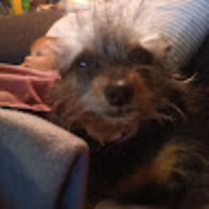 Meet your Posher, Heather